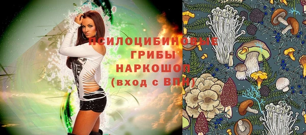альфа пвп Новодвинск