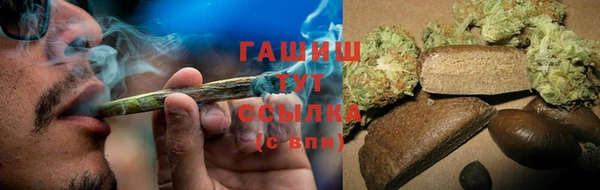 крисы Новозыбков