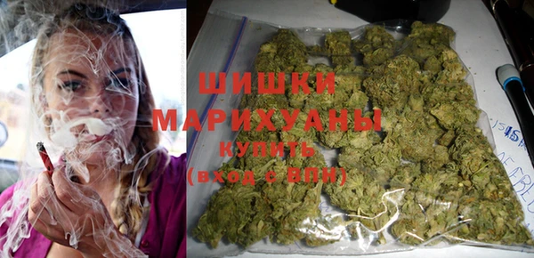 крисы Новозыбков