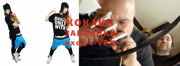 крисы Новозыбков