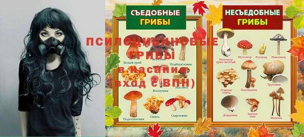 альфа пвп Новодвинск