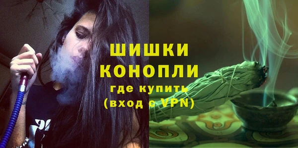 крисы Новозыбков