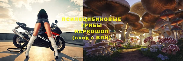 крисы Новозыбков